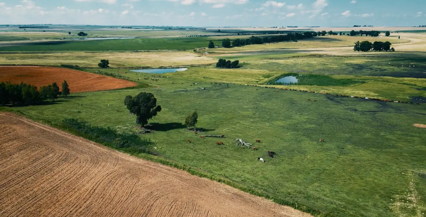 Sweeping aerial view of South African farmland